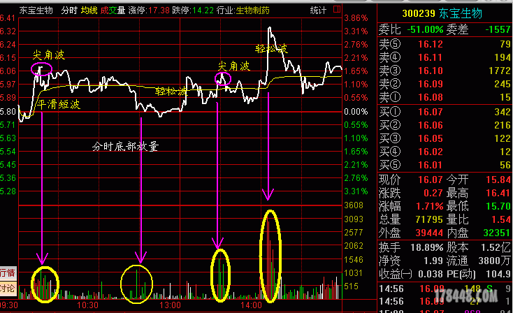 量波及量柱技术分析
