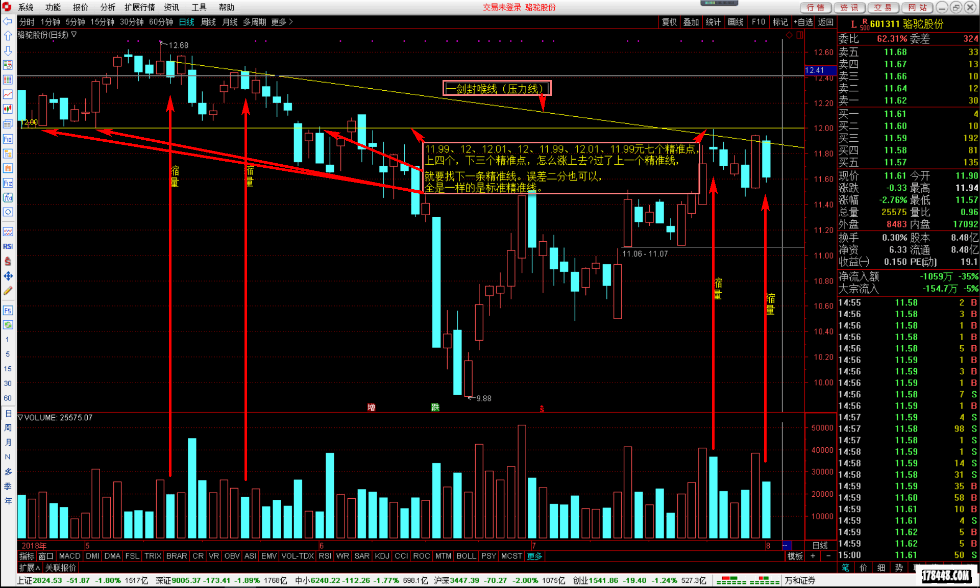 601311骆驼股份倍量过左峰 凹口平底倍量柱