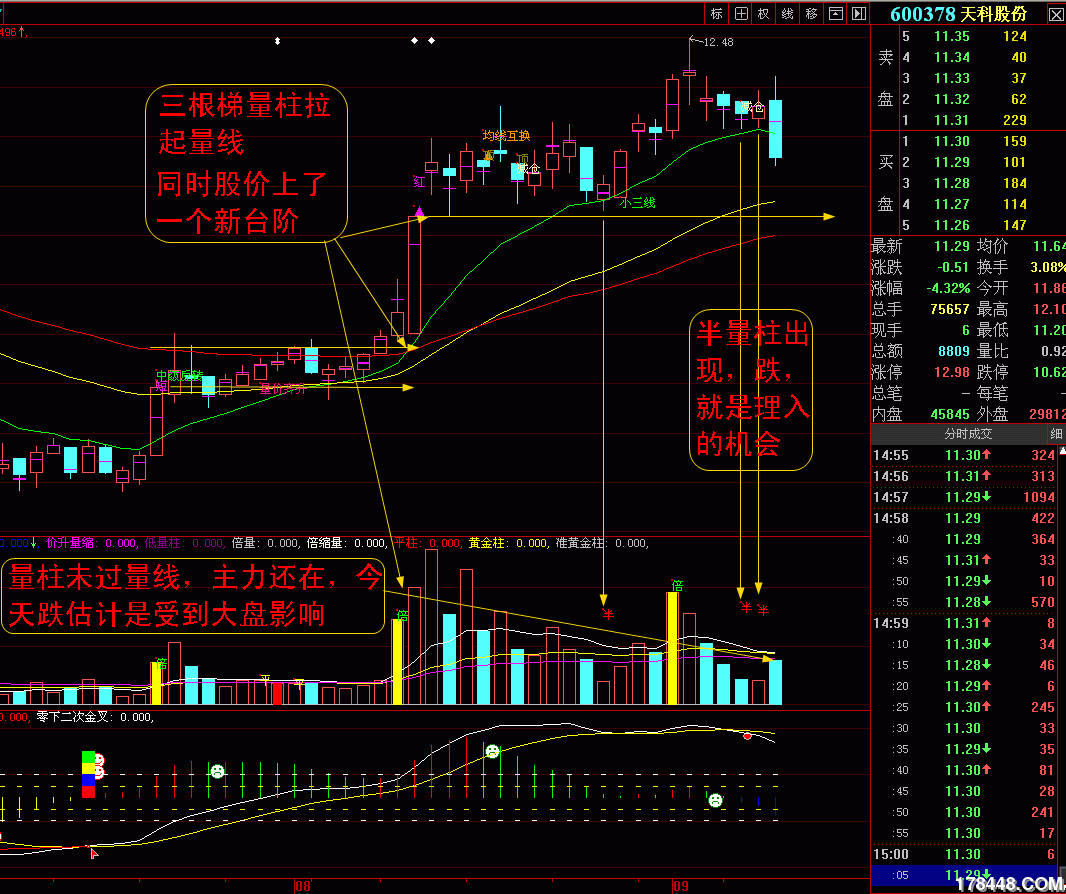 多倍量柱 半量柱看600378(失败案例)
